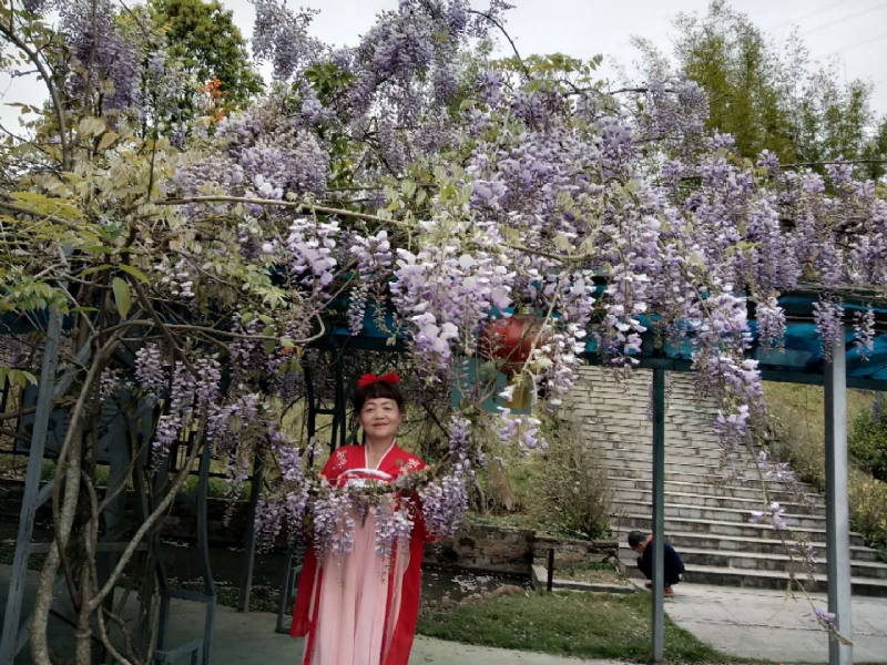 莉莉的第一张照片--大田征婚网