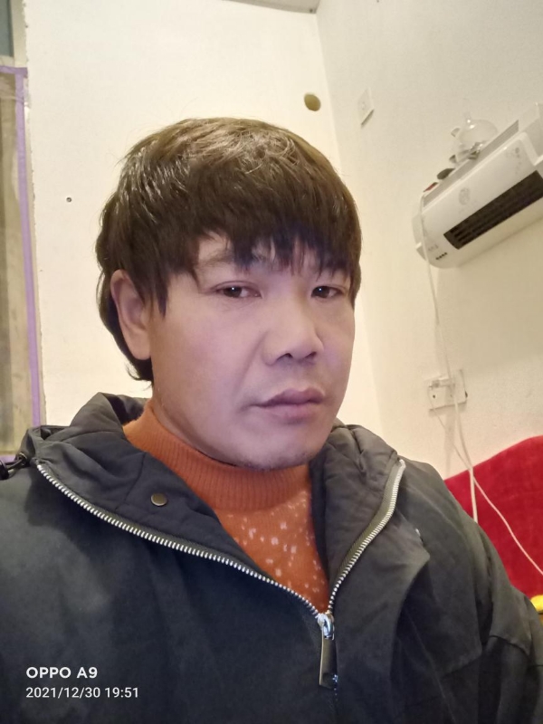 小鸟找窝的第一张照片--大田征婚网