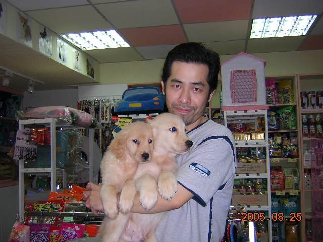 陈道明的第六张照片--大田征婚网