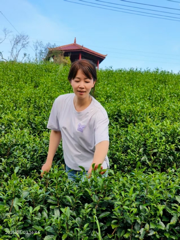 Q绮芳的第一张照片--大田征婚网